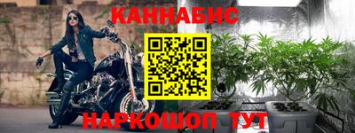скорость Бердск