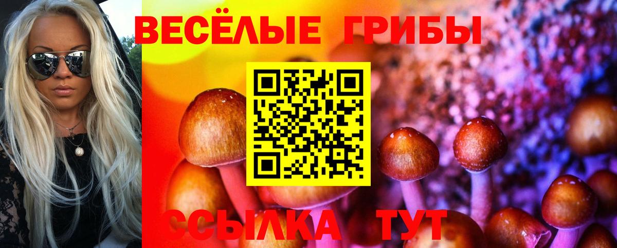 Галлюциногенные грибы прущие грибы Алексин